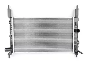 Радиатор, охлаждение двигателя BSG купить